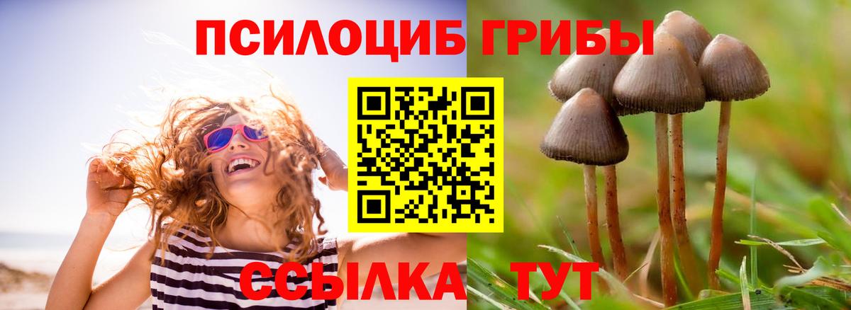 Галлюциногенные грибы Magic Shrooms  Вход с VPN  Ипатово  Псилоцибиновые грибы MAGIC MUSHROOMS 